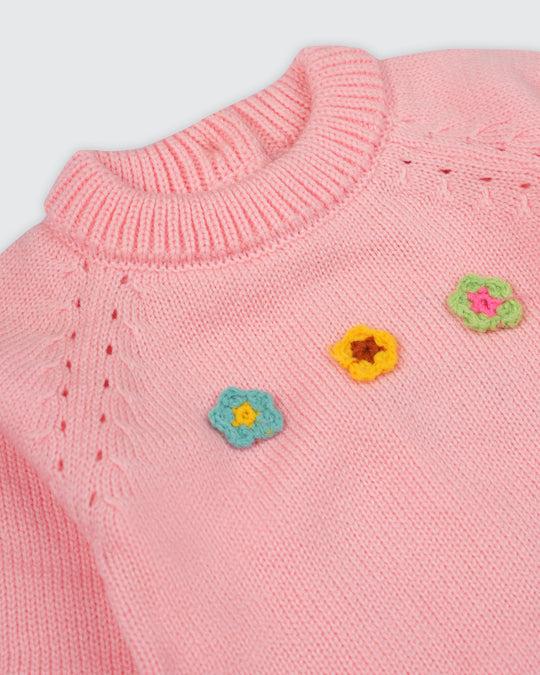 Newborn Girls Floral Applique Sweater Suit
