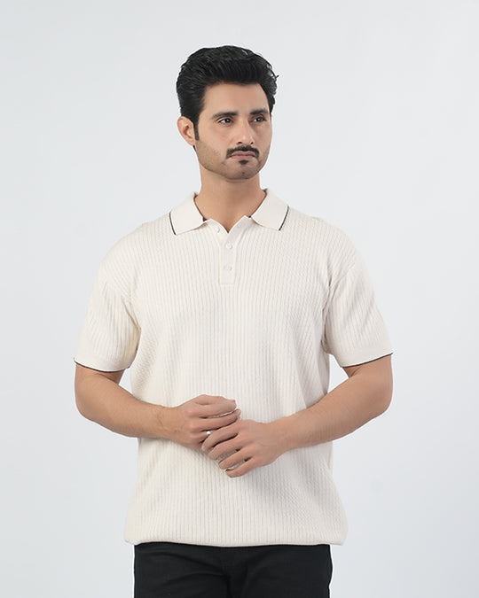 Men's Half Sleeves Polo T-Shirt