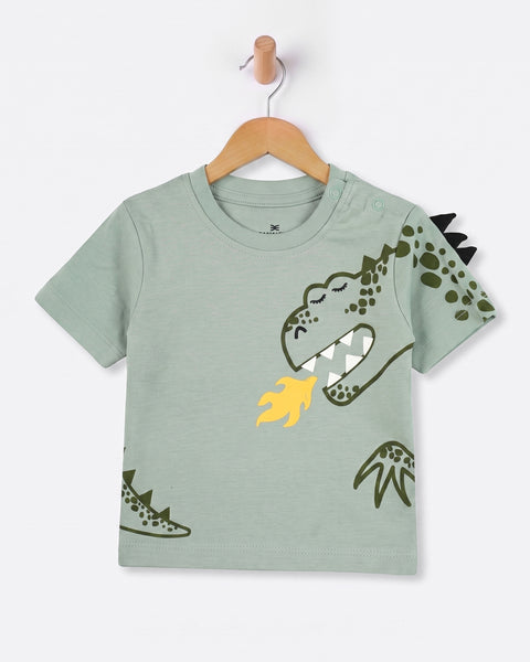 Newborn Boys' Half Sleeves T-Shirt