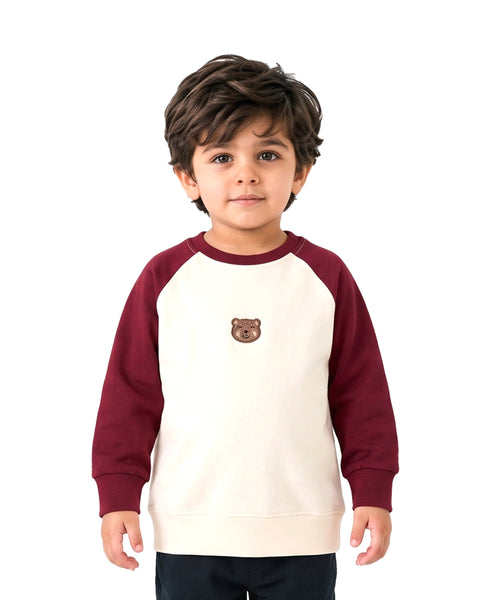 Boys Knitted Sweatshirt