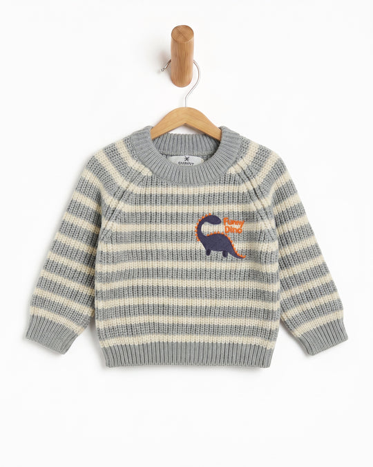 Newborn Boys Sweater