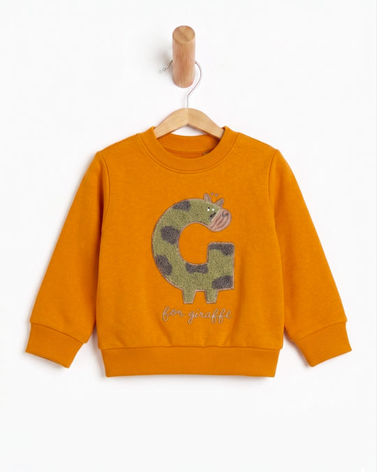 Newborn Boys Full Sleeves T-Shirt