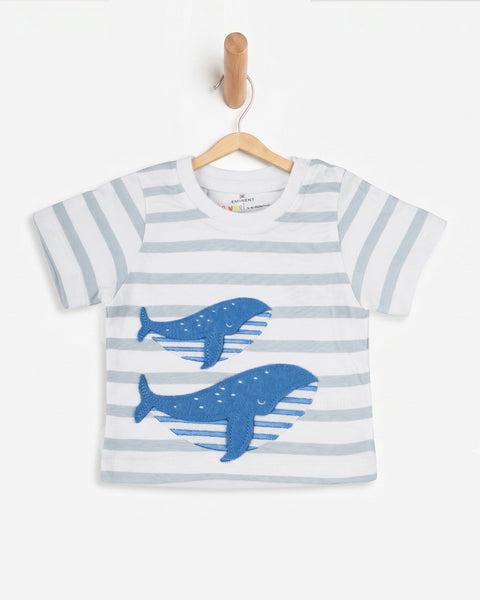 Newborn Boys' Half Sleeves T-Shirt