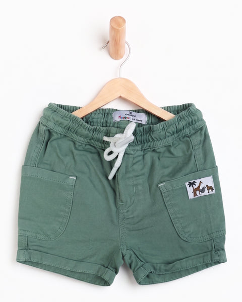 Newborn Boys Regular Twill Shorts