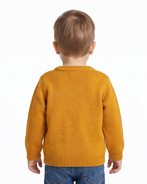 Boys' Sweater