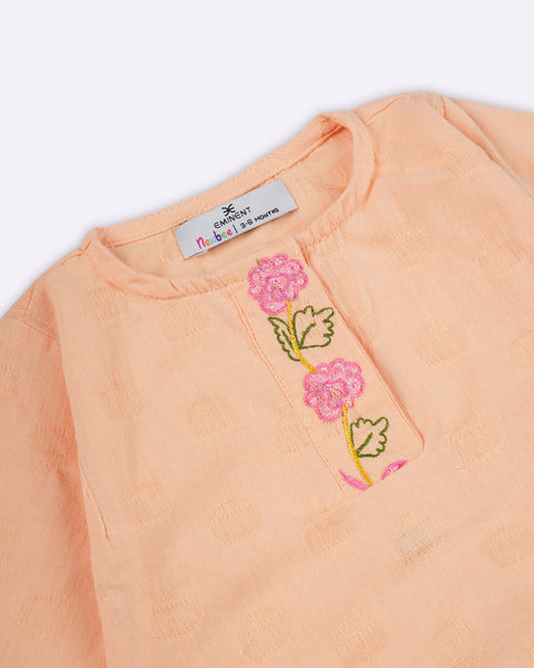 Newborn Ethnic Essentials Embroidered 2 Pc Suit