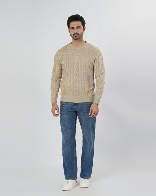 Men's Full Sleeves Sweater