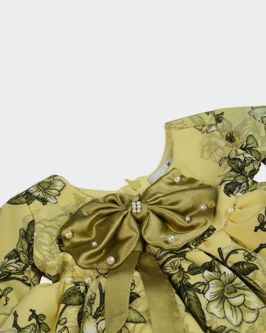 Eminent Newborn Girls’ Frock, Newborn Girls Frocks, Chase Value, Chase Value