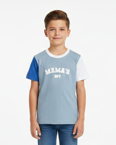 Boys Round Neck Half Sleeves T-Shirt