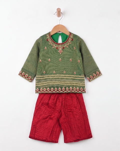 Newborn Girls' Ethnic Embroidered 2pc Suit