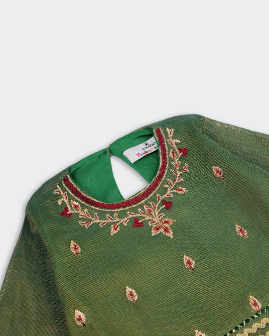 Newborn Girls' Ethnic Embroidered 2pc Suit