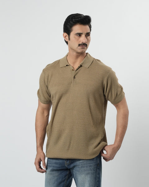 Regular Solid Sweater Knit Polo T-Shirt
