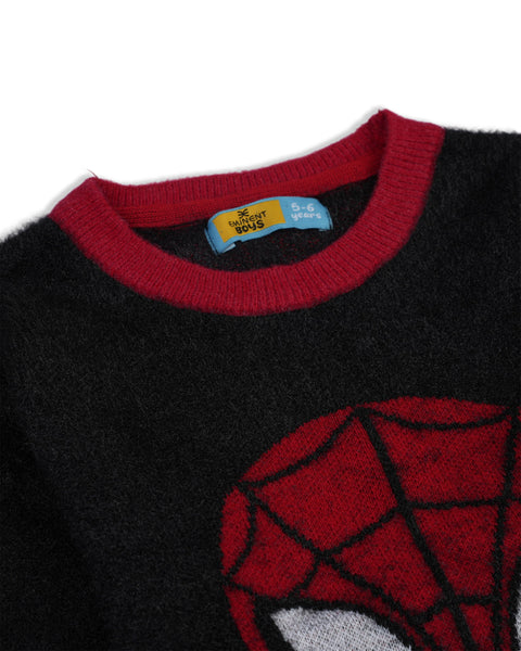 Eminent Boys Sweater, Boys Sweaters, Eminent, Chase Value