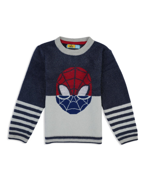 Eminent Boys Sweater, Boys Sweaters, Eminent, Chase Value