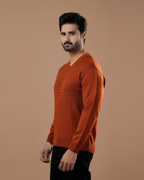 Eminent Men Full Sleeves Sweater