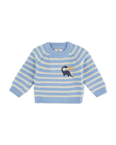 Eminent Newborn Boys Sweater