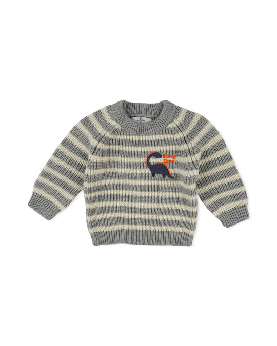 Eminent Newborn Boys Sweater