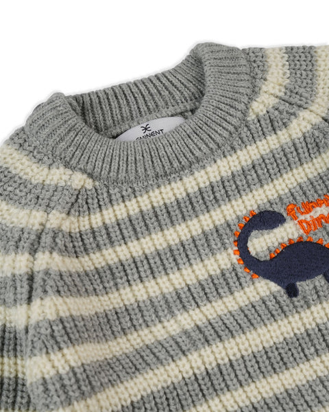 Eminent Newborn Boys Sweater
