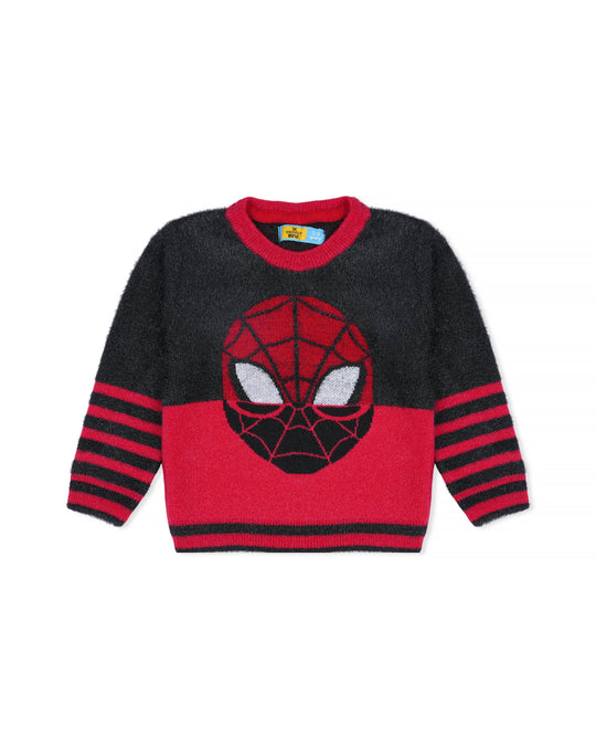 Eminent Boys Sweater