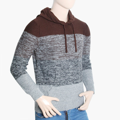 Men's Hooded Sweater - Brown, Men's Sweater & Sweat Shirts, Chase Value, Chase Value