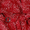 Eminent Girls Jump Suit - Maroon