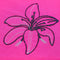 Eminent Girls Half Sleeves T-Shirt - Neon Pink, Girls T-Shirts, Eminent, Chase Value