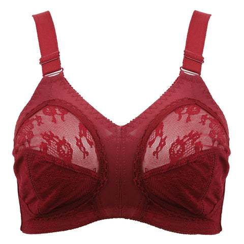 Eminent Serene Bra - Maroon, Women Bras, Eminent, Chase Value
