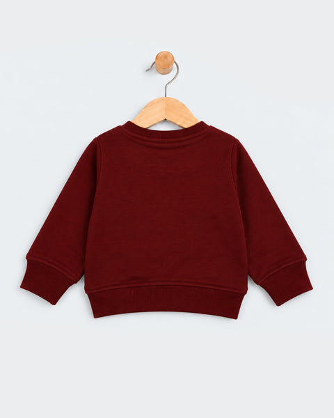 Newborn Boys Sweatshirt