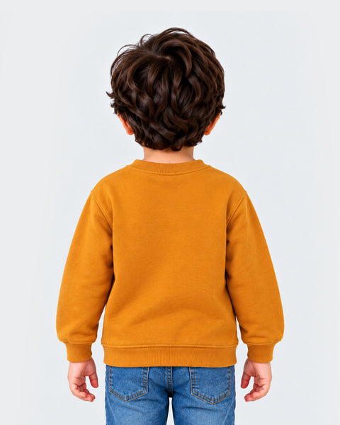 Boys Knitted Sweatshirt