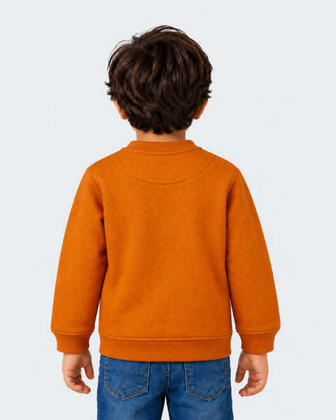Boys Knitted Sweatshirt