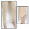 Eminent Masori Jacquard Fancy Unstitched Trouser - 04, Women, Unstitched Trouser, Eminent, Chase Value