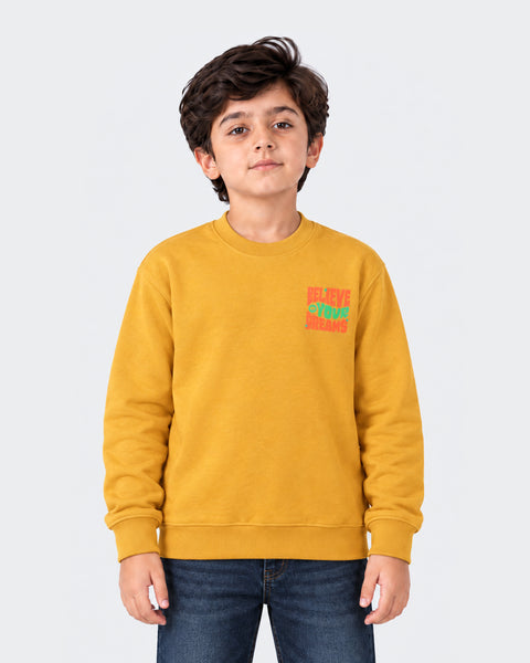 Boys Knitted Sweatshirt
